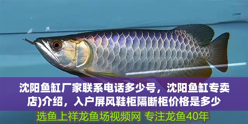 沈陽魚缸廠家聯系電話多少號，沈陽魚缸專賣店)介紹，入戶屏風鞋柜隔斷柜價格是多少