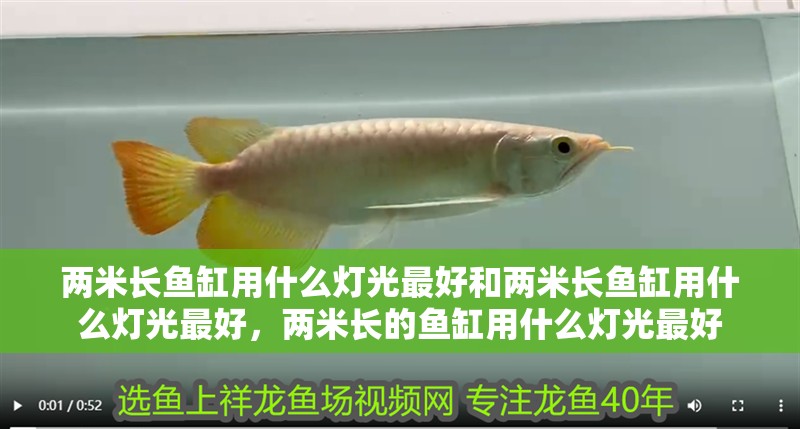 兩米長魚缸用什么燈光最好和兩米長魚缸用什么燈光最好，兩米長的魚缸用什么燈光最好
