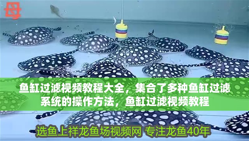 魚缸過濾視頻教程大全，集合了多種魚缸過濾系統的操作方法，魚缸過濾視頻教程