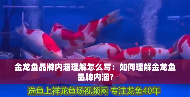 金龍魚(yú)品牌內(nèi)涵理解怎么寫(xiě)：如何理解金龍魚(yú)品牌內(nèi)涵？ 金龍魚(yú)品牌內(nèi)涵理解怎么寫(xiě)：如何理解金龍魚(yú)品牌內(nèi)涵？ 觀賞魚(yú)百科