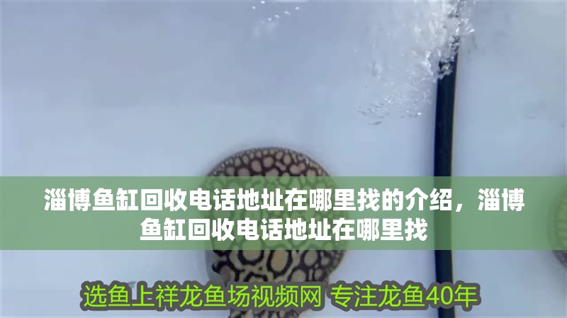 淄博魚缸回收電話地址在哪里找的介紹，淄博魚缸回收電話地址在哪里找