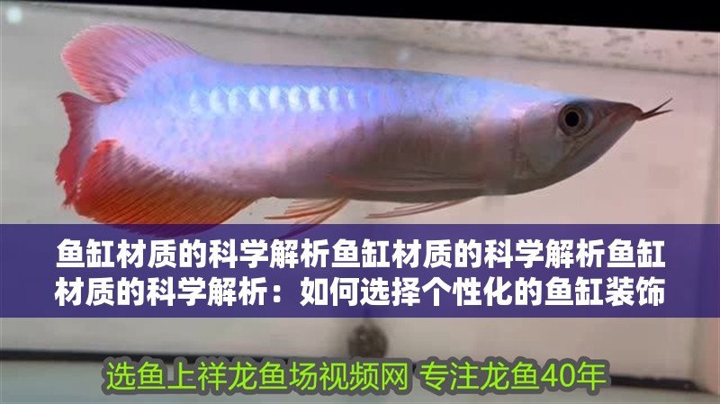 魚缸材質的科學解析魚缸材質的科學解析魚缸材質的科學解析：如何選擇個性化的魚缸裝飾