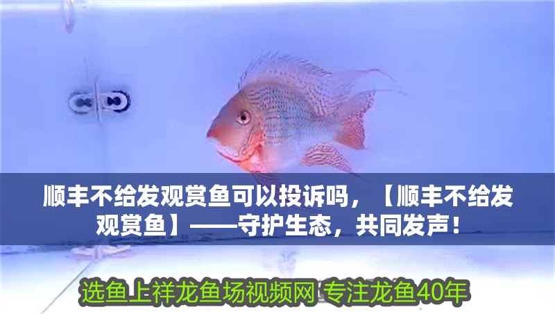 順豐不給發(fā)觀賞魚可以投訴嗎，【順豐不給發(fā)觀賞魚】——守護(hù)生態(tài)，共同發(fā)聲！