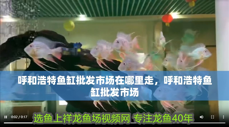 呼和浩特魚缸批發市場在哪里走，呼和浩特魚缸批發市場