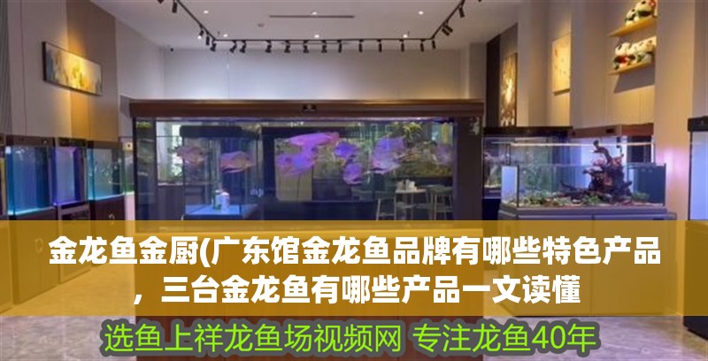 金龍魚金廚(廣東館金龍魚品牌有哪些特色產品，三臺金龍魚有哪些產品一文讀懂