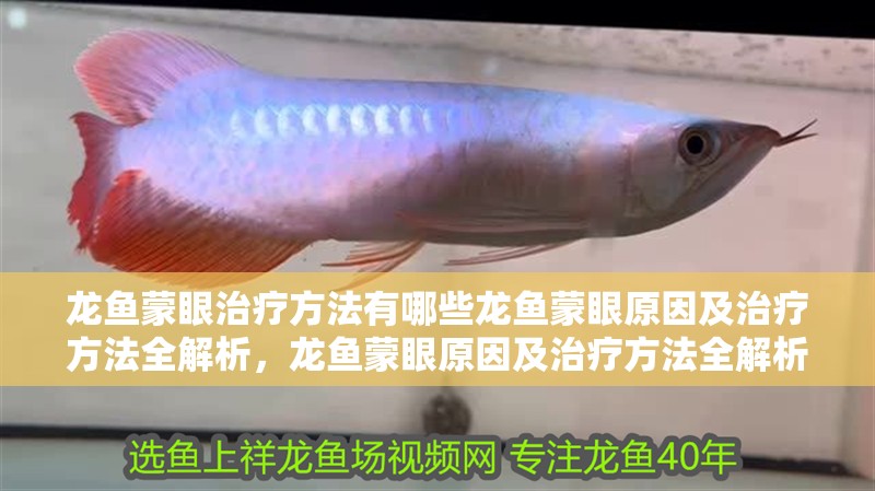 龍魚蒙眼治療方法有哪些龍魚蒙眼原因及治療方法全解析，龍魚蒙眼原因及治療方法全解析