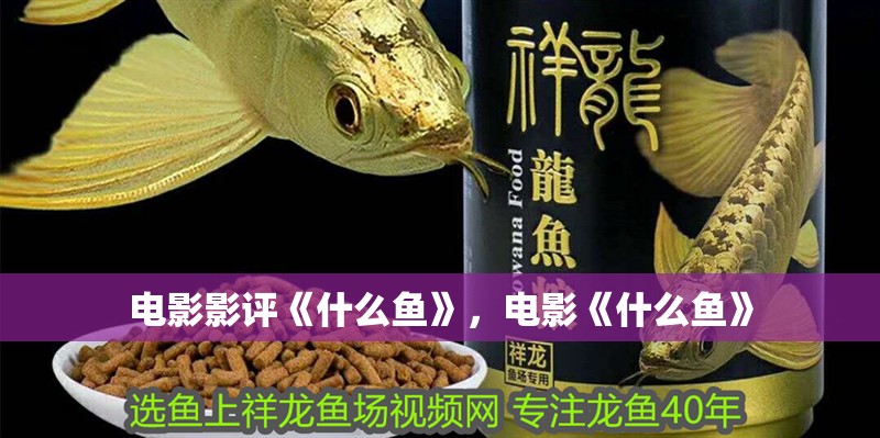 電影影評《什么魚》，電影《什么魚》