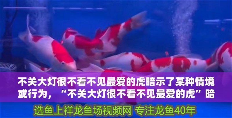 不關大燈很不看不見最愛的虎暗示了某種情境或行為，“不關大燈很不看不見最愛的虎”暗示了某種情境或行為