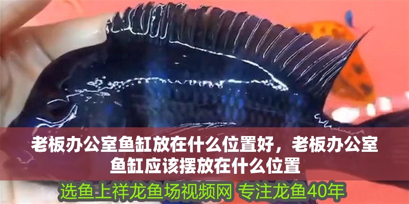 老板辦公室魚缸放在什么位置好，老板辦公室魚缸應(yīng)該擺放在什么位置