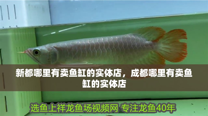 新都哪里有賣魚缸的實體店，成都哪里有賣魚缸的實體店