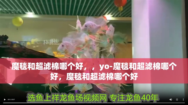 魔毯和超濾棉哪個好，，yo-魔毯和超濾棉哪個好，魔毯和超濾棉哪個好