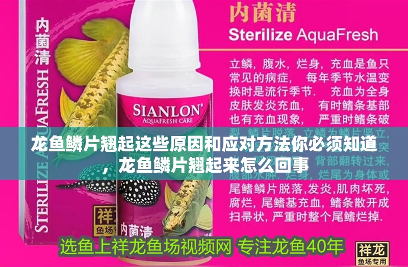 龍魚(yú)鱗片翹起這些原因和應(yīng)對(duì)方法你必須知道，龍魚(yú)鱗片翹起來(lái)怎么回事
