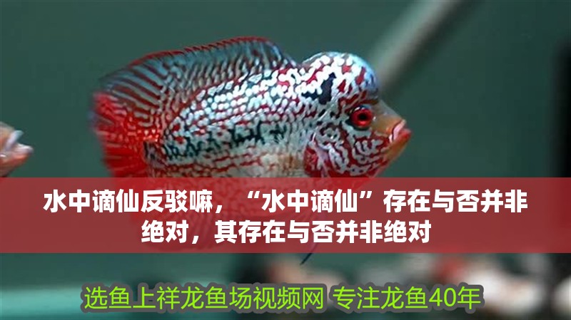 水中謫仙反駁嘛，“水中謫仙”存在與否并非絕對(duì)，其存在與否并非絕對(duì)