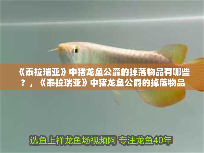 《泰拉瑞亞》中豬龍魚公爵的掉落物品有哪些？，《泰拉瑞亞》中豬龍魚公爵的掉落物品