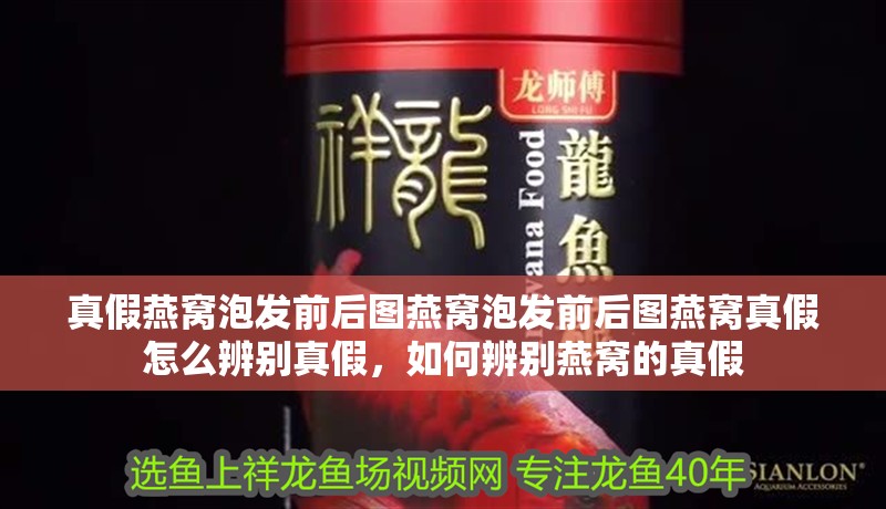 真假燕窩泡發前后圖燕窩泡發前后圖燕窩真假怎么辨別真假，如何辨別燕窩的真假