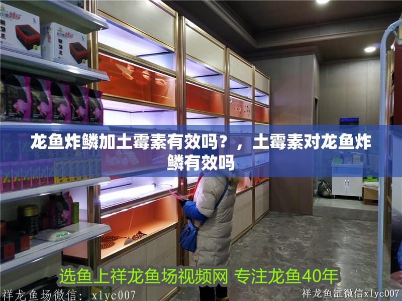 龍魚炸鱗加土霉素有效嗎？，土霉素對(duì)龍魚炸鱗有效嗎