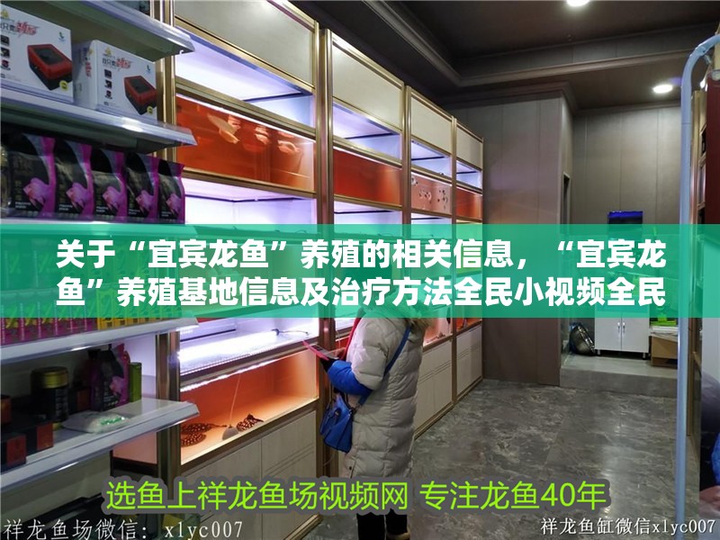 關于“宜賓龍魚”養殖的相關信息，“宜賓龍魚”養殖基地信息及治療方法全民小視頻全民小視頻