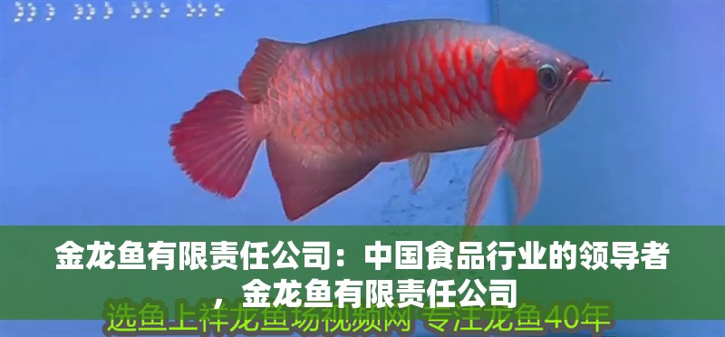 金龍魚有限責任公司：中國食品行業的領導者，金龍魚有限責任公司