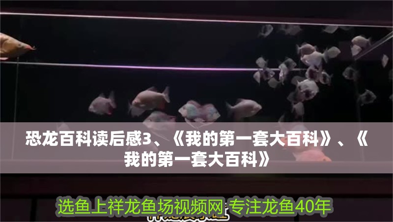 恐龍百科讀后感3、《我的第一套大百科》、《我的第一套大百科》