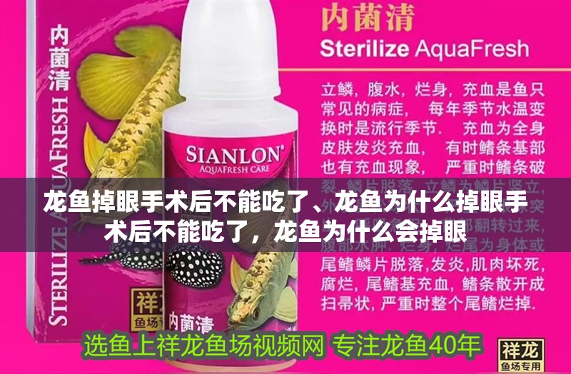 龍魚掉眼手術后不能吃了、龍魚為什么掉眼手術后不能吃了，龍魚為什么會掉眼