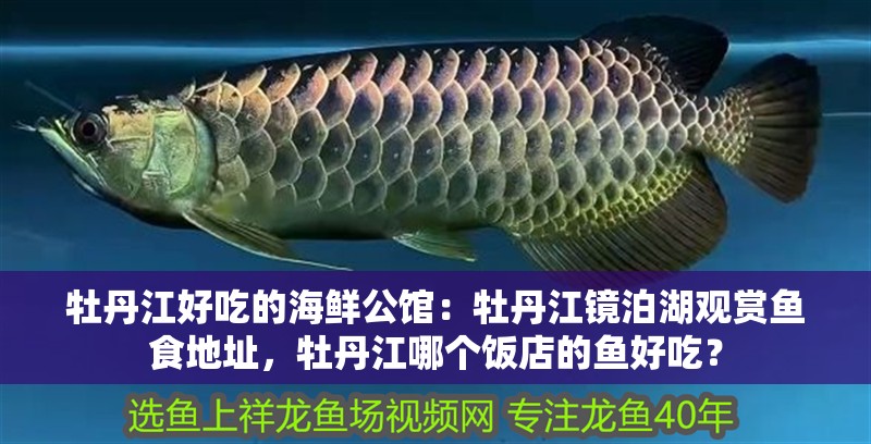 牡丹江好吃的海鮮公館：牡丹江鏡泊湖觀賞魚食地址，牡丹江哪個(gè)飯店的魚好吃？ 牡丹江好吃的海鮮公館：牡丹江鏡泊湖觀賞魚食地址，牡丹江哪個(gè)飯店的魚好吃？ 觀賞魚百科 第2張