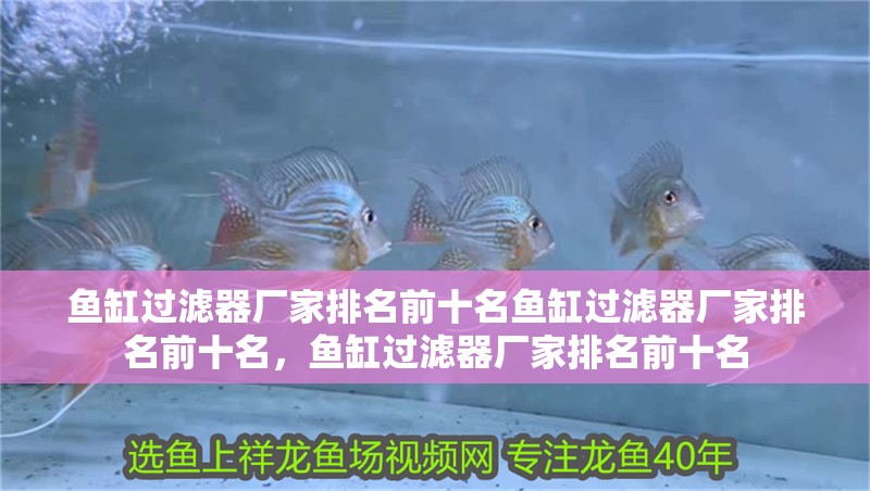 魚(yú)缸過(guò)濾器廠家排名前十名魚(yú)缸過(guò)濾器廠家排名前十名，魚(yú)缸過(guò)濾器廠家排名前十名