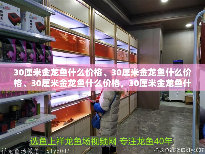 30厘米金龍魚(yú)什么價(jià)格、30厘米金龍魚(yú)什么價(jià)格、30厘米金龍魚(yú)什么價(jià)格，30厘米金龍魚(yú)什么價(jià)