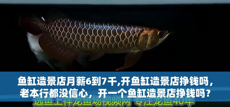 魚缸造景店月薪6到7千,開魚缸造景店掙錢嗎，老本行都沒信心，開一個魚缸造景店掙錢嗎？