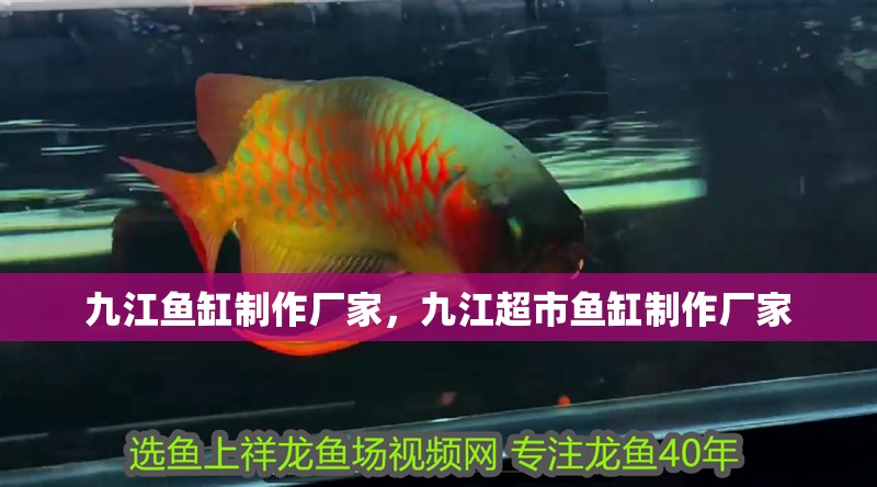 九江魚缸制作廠家，九江超市魚缸制作廠家