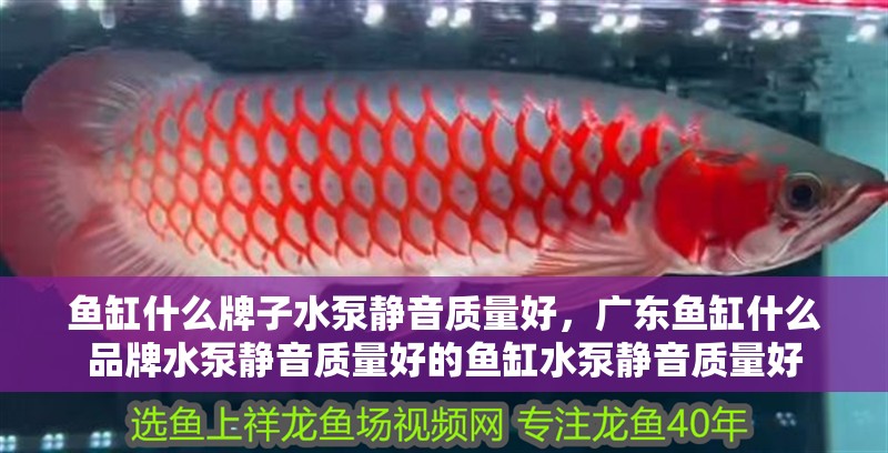 魚缸什么牌子水泵靜音質量好，廣東魚缸什么品牌水泵靜音質量好的魚缸水泵靜音質量好