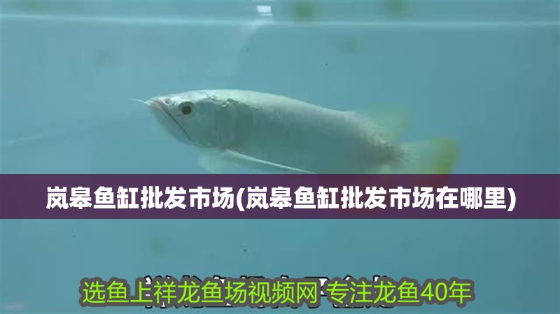 嵐皋魚缸批發市場(嵐皋魚缸批發市場在哪里)