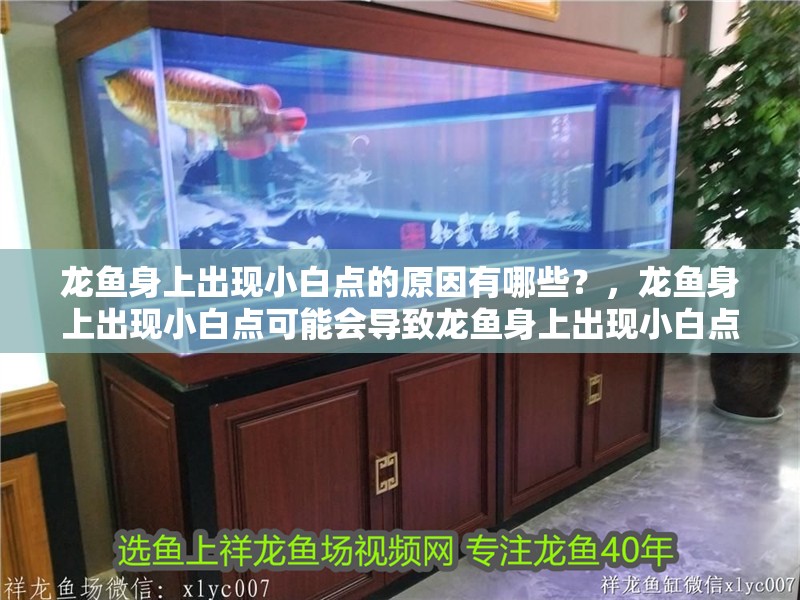 龍魚身上出現(xiàn)小白點(diǎn)的原因有哪些？，龍魚身上出現(xiàn)小白點(diǎn)可能會導(dǎo)致龍魚身上出現(xiàn)小白點(diǎn)的原因