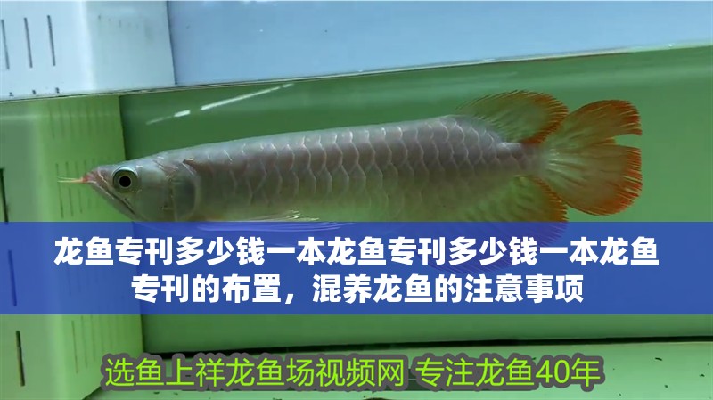 龍魚專刊多少錢一本龍魚專刊多少錢一本龍魚專刊的布置，混養龍魚的注意事項