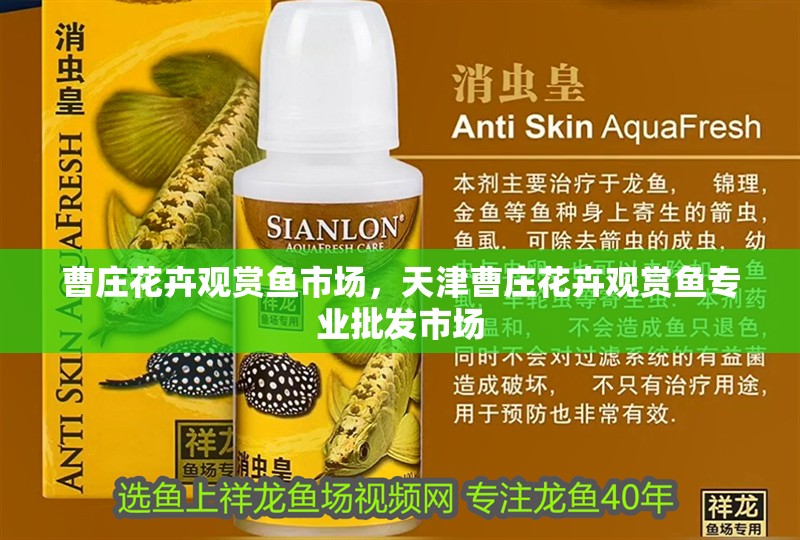 曹莊花卉觀賞魚市場，天津曹莊花卉觀賞魚專業批發市場