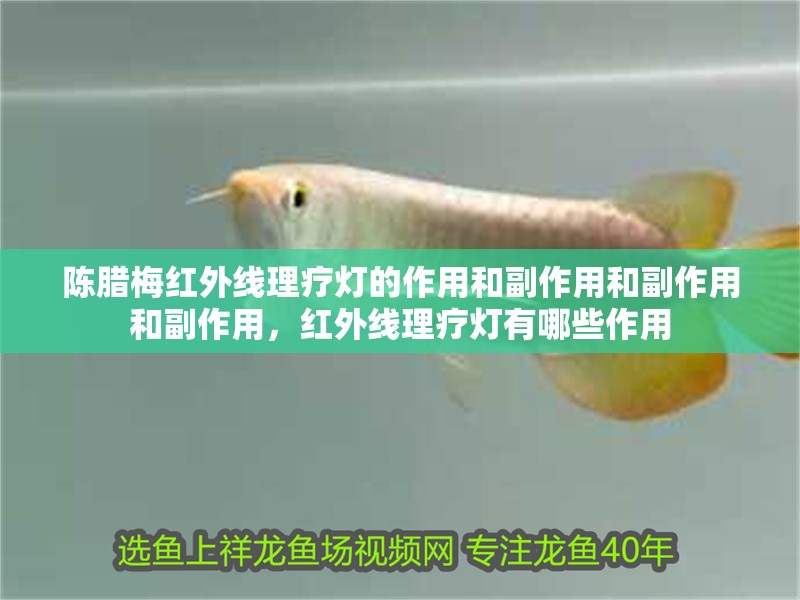 陳臘梅紅外線理療燈的作用和副作用和副作用和副作用，紅外線理療燈有哪些作用