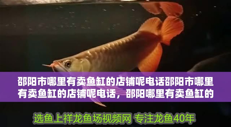 邵陽(yáng)市哪里有賣魚缸的店鋪呢電話邵陽(yáng)市哪里有賣魚缸的店鋪呢電話，邵陽(yáng)哪里有賣魚缸的店鋪呢電話