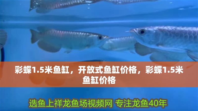 彩蝶1.5米魚缸，開放式魚缸價格，彩蝶1.5米魚缸價格