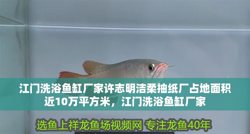 江門洗浴魚缸廠家許志明潔柔抽紙廠占地面積近10萬平方米，江門洗浴魚缸廠家