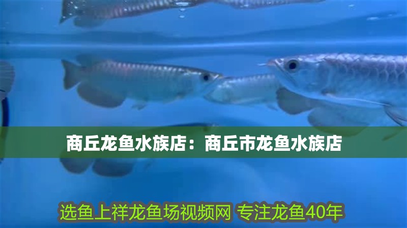 商丘龍魚水族店：商丘市龍魚水族店
