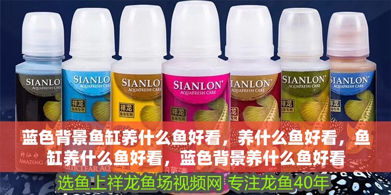 藍色背景魚缸養什么魚好看，養什么魚好看，魚缸養什么魚好看，藍色背景養什么魚好看