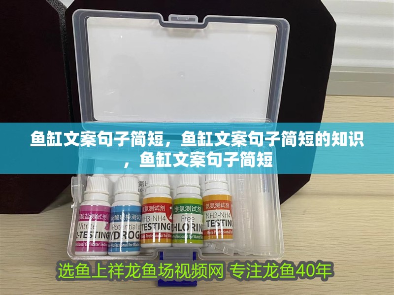 魚缸文案句子簡短，魚缸文案句子簡短的知識，魚缸文案句子簡短
