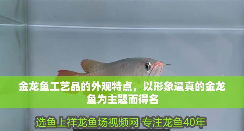 金龍魚工藝品的外觀特點，以形象逼真的金龍魚為主題而得名
