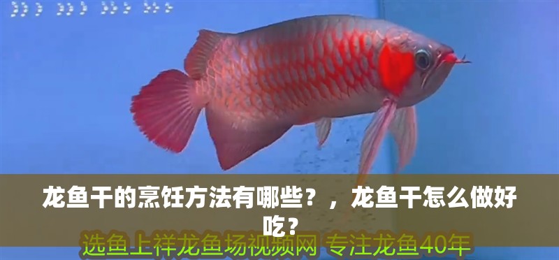 龍魚干的烹飪方法有哪些？，龍魚干怎么做好吃？