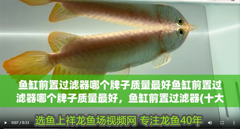 魚缸前置過濾器哪個牌子質量最好魚缸前置過濾器哪個牌子質量最好，魚缸前置過濾器(十大前置過濾器哪個牌子質量最好