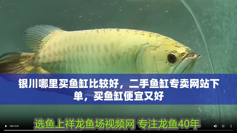 銀川哪里買魚缸比較好，二手魚缸專賣網(wǎng)站下單，買魚缸便宜又好