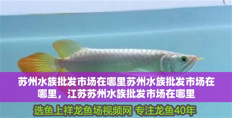 蘇州水族批發(fā)市場(chǎng)在哪里蘇州水族批發(fā)市場(chǎng)在哪里，江蘇蘇州水族批發(fā)市場(chǎng)在哪里