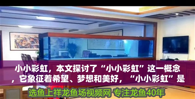 小小彩虹，本文探討了“小小彩虹”這一概念，它象征著希望、夢想和美好，“小小彩虹”是生活中不可或缺的一部分