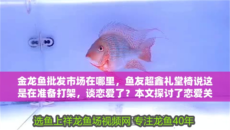 金龍魚批發市場在哪里，魚友超鑫禮堂椅說這是在準備打架，談戀愛了？本文探討了戀愛關系的形成及其對個人生活的影響，