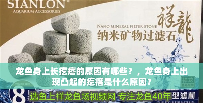 龍魚身上長疙瘩的原因有哪些？，龍魚身上出現凸起的疙瘩是什么原因？