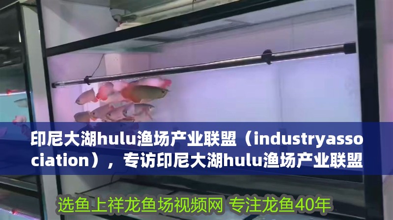 印尼大湖hulu漁場產業聯盟（industryassociation），專訪印尼大湖hulu漁場產業聯盟